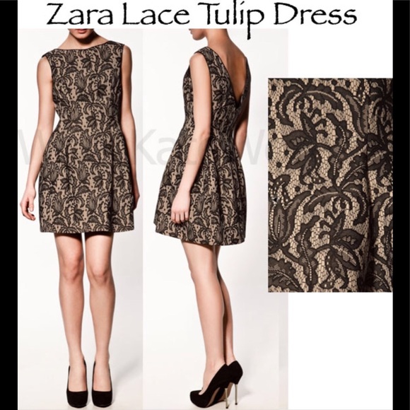zara tulip dress